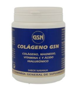 Colageno Acido Hialuronico Sabor Naranja 340g G.S.N.