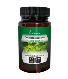 Capsudiet Ginkgo Biloba 40caps Plameca