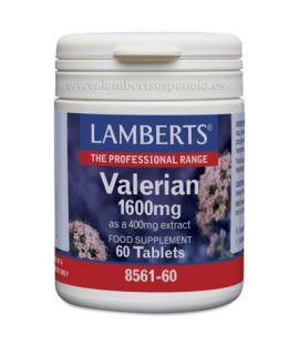 Valerian 1600Mg 60comp Lamberts