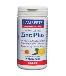 Zinc Plus Chewables 100 past Lamberts