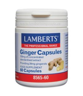 Ginger 12000Mg 60caps Lamberts