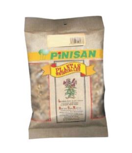 Apio Semillas 50g Pinisan