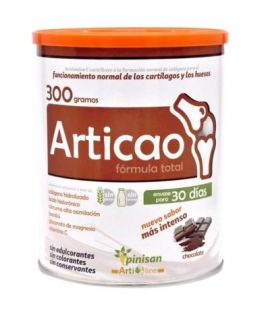 Articao Sabor Chocolate SinGluten 300g Pinisan