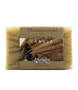 Cinnamon Soap for Dry Dehydrated Skin 100g Planta-Pol