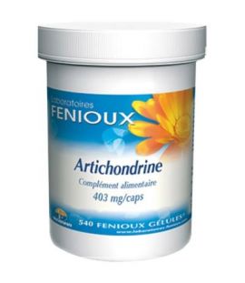 Artichondrine 540caps Fenioux