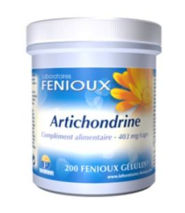 Artichondrine 200caps Fenioux