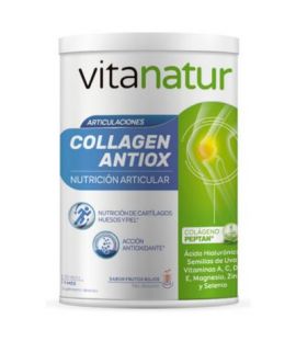 Collagen Antiox 360g Vitanatur