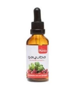 Extracto Gayuba 50ml Plantis