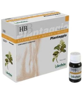 Plantaggio HB 20 Vials Derbos