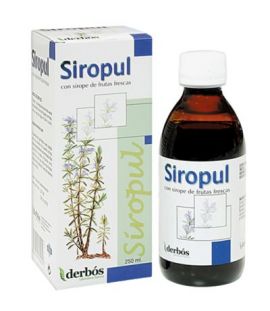 Siropul Syrup 250ml Derbos