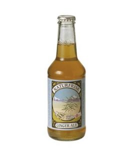 Organic Ginger Ale Soft Drink 250ml Naturfrisk