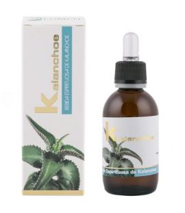 Extracto de Kalanchoe 50ml Lumen