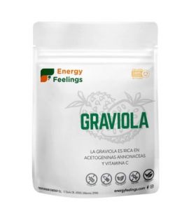 Graviola Flour Gluten Free Vegan 150g Energy Fruits