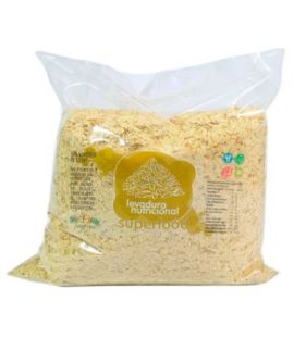 Nutritional Yeast with Vitamin B 1kg Energy Fruits