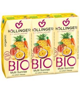 Bio Vegan Multifruit Juice 3x200ml Hollinger