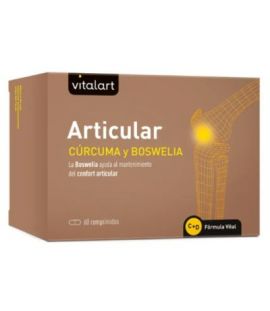 Articular SinGluten 60comp Vitalart