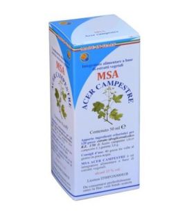 MSA Acer Campestre 50ml Herboplanet