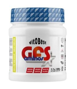 GFS Aminos Powder Wild Melon 500g Vitobest