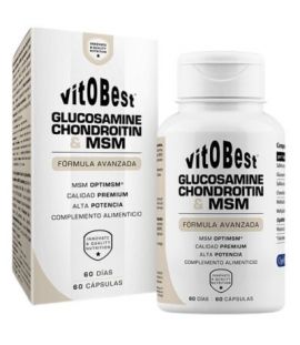 Glucosamine Chondroitin MSM 60caps Vitobest